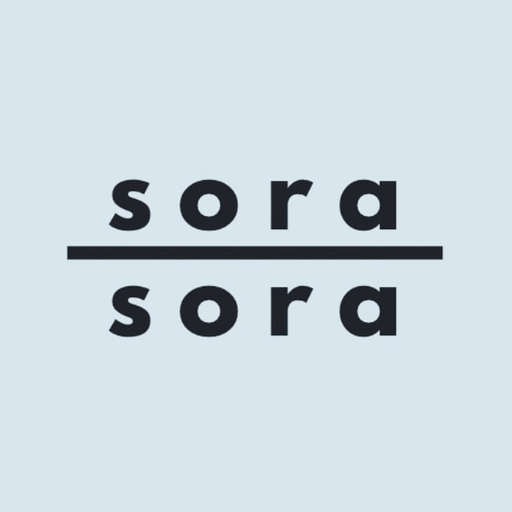 夢を叶える習慣化｜soraオンラインプログラム